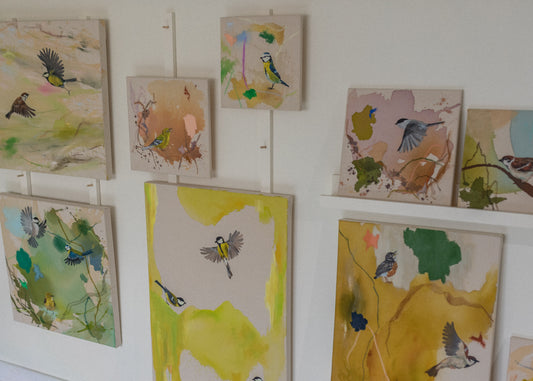spring birds