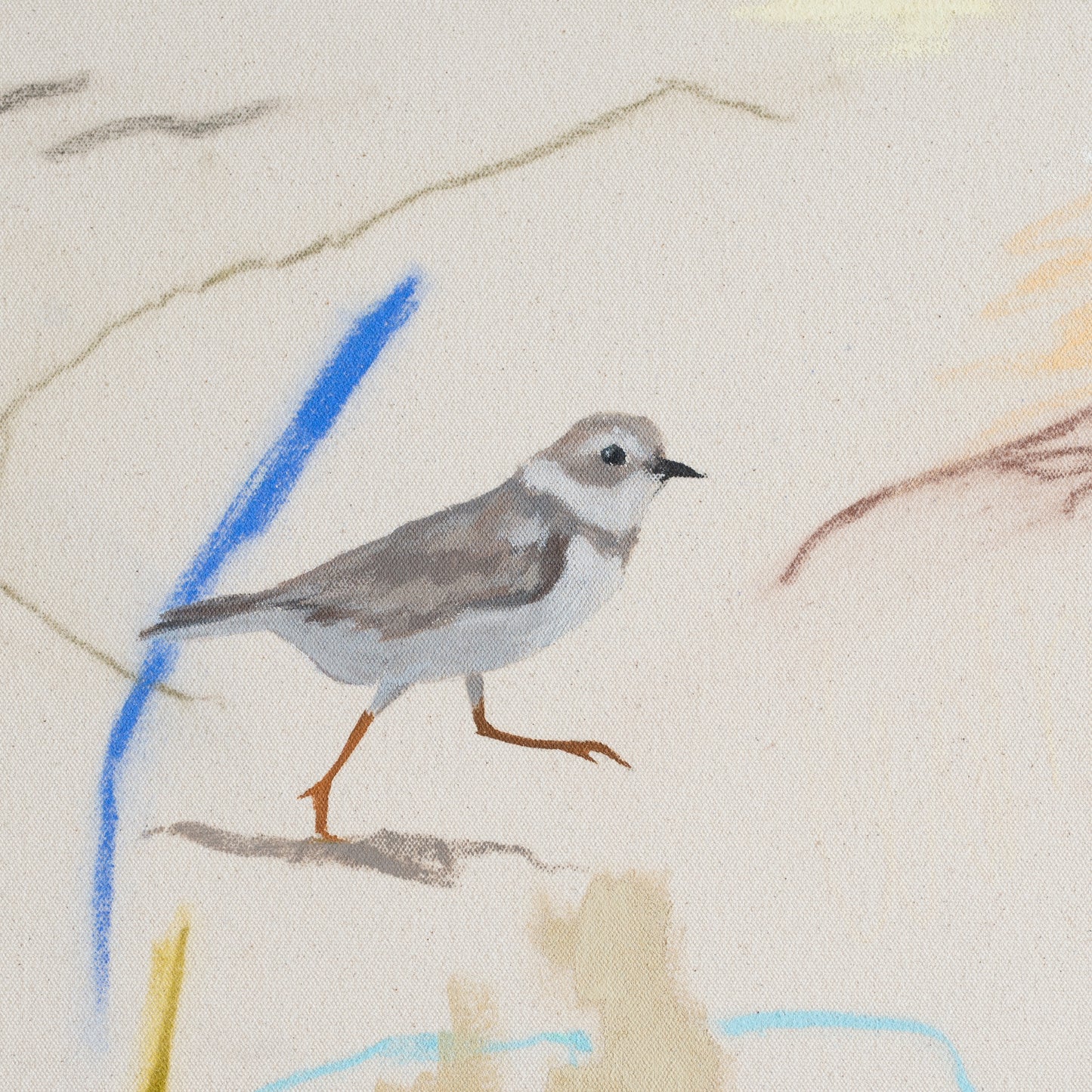 closeup detail of a piping plover running across beachy tones