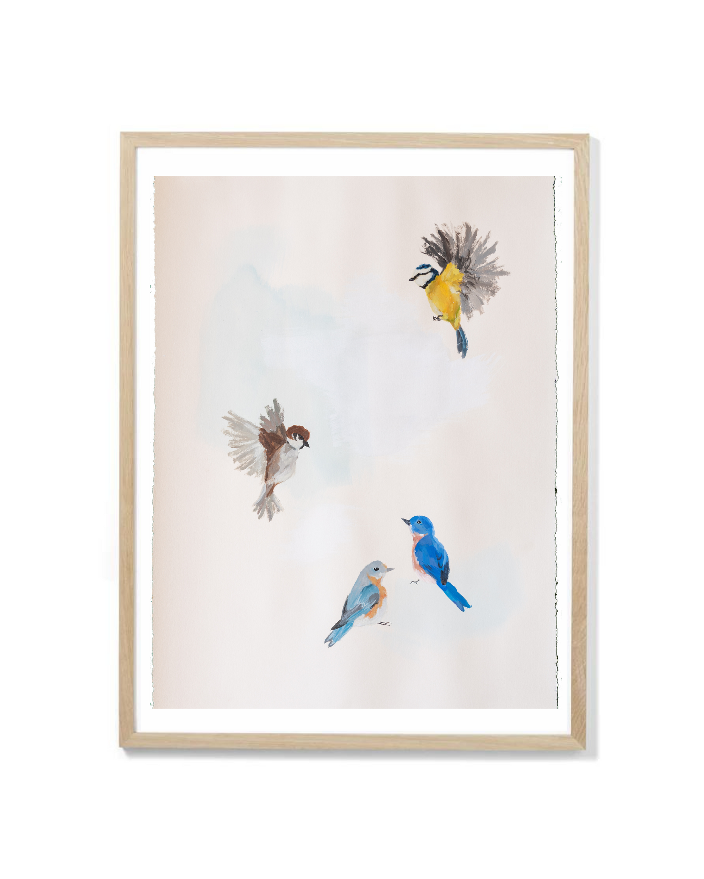 framed painting of 4 birds on white background