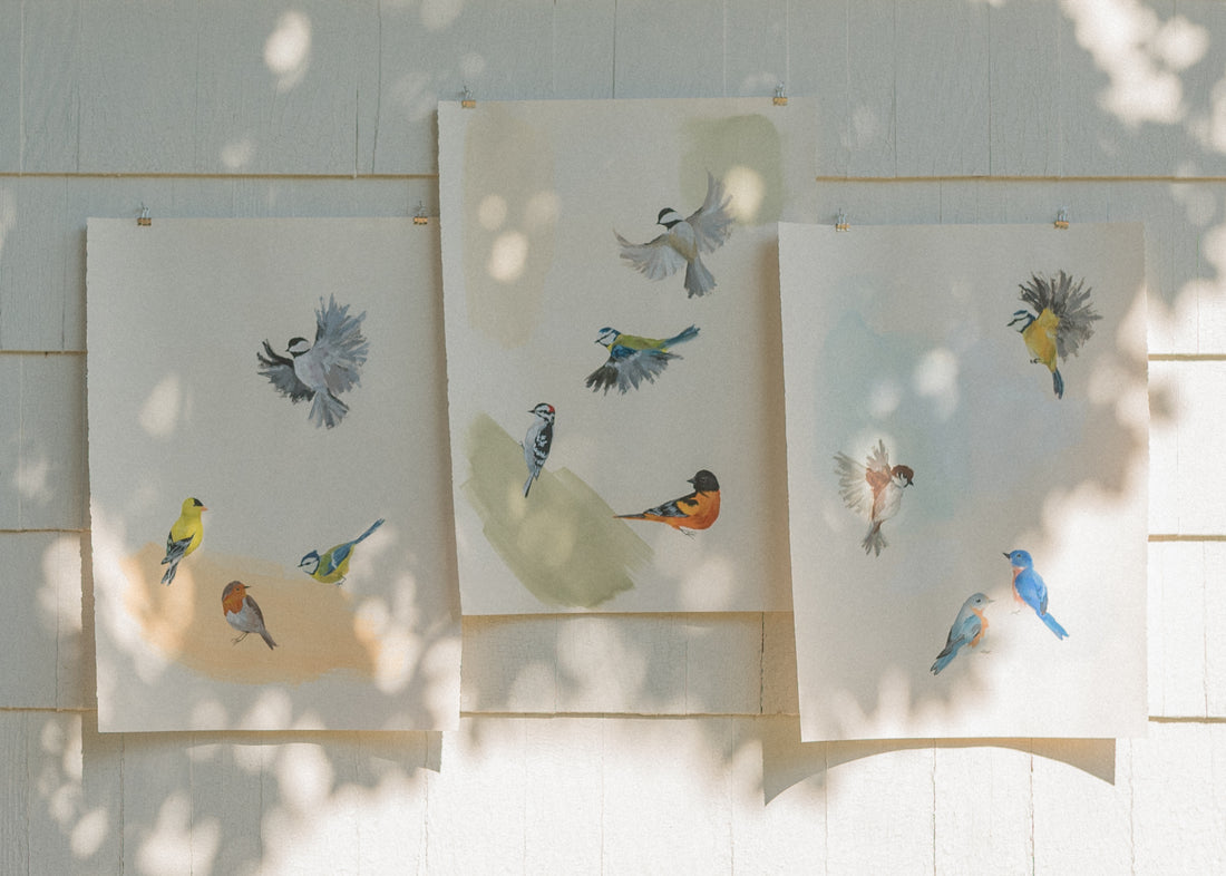 birds