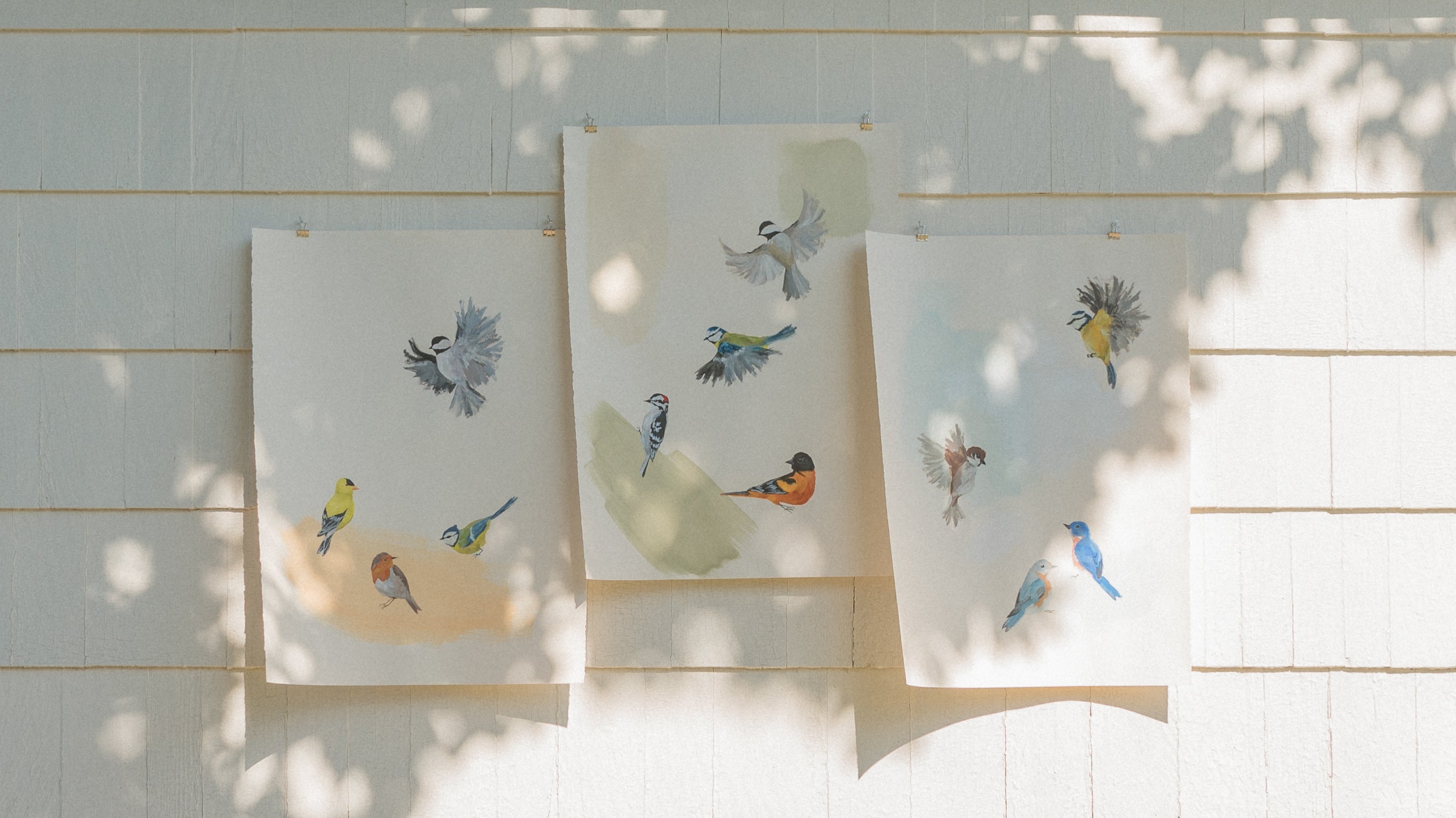 three bird paintings hang on a sunlit white wall outdoors