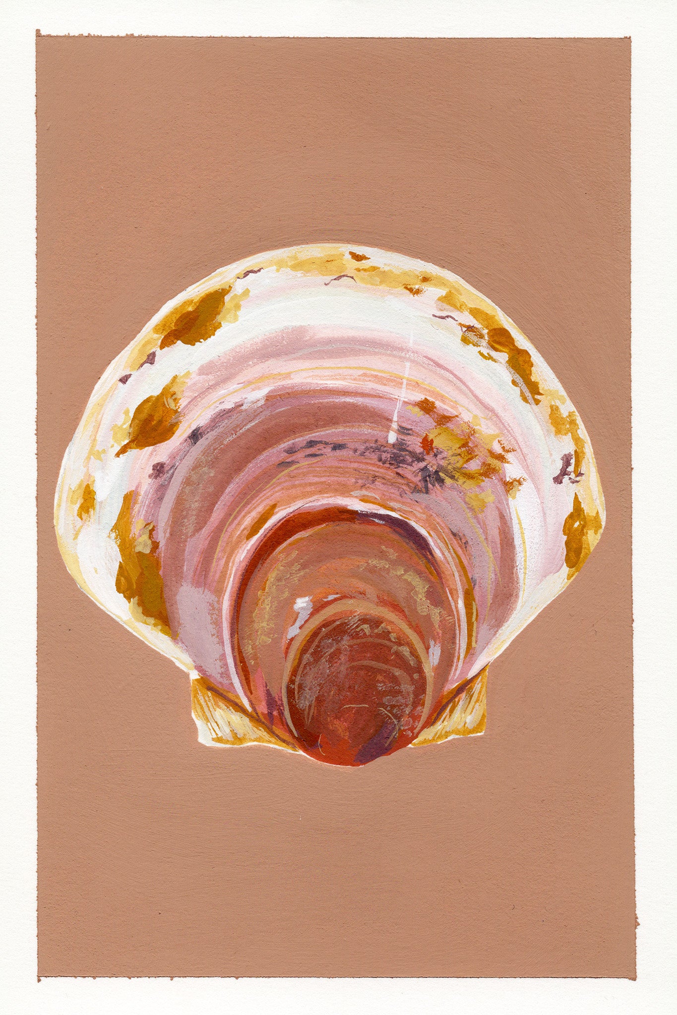 Painting of an Atlantic scallop shell on soft brown background with a white border.