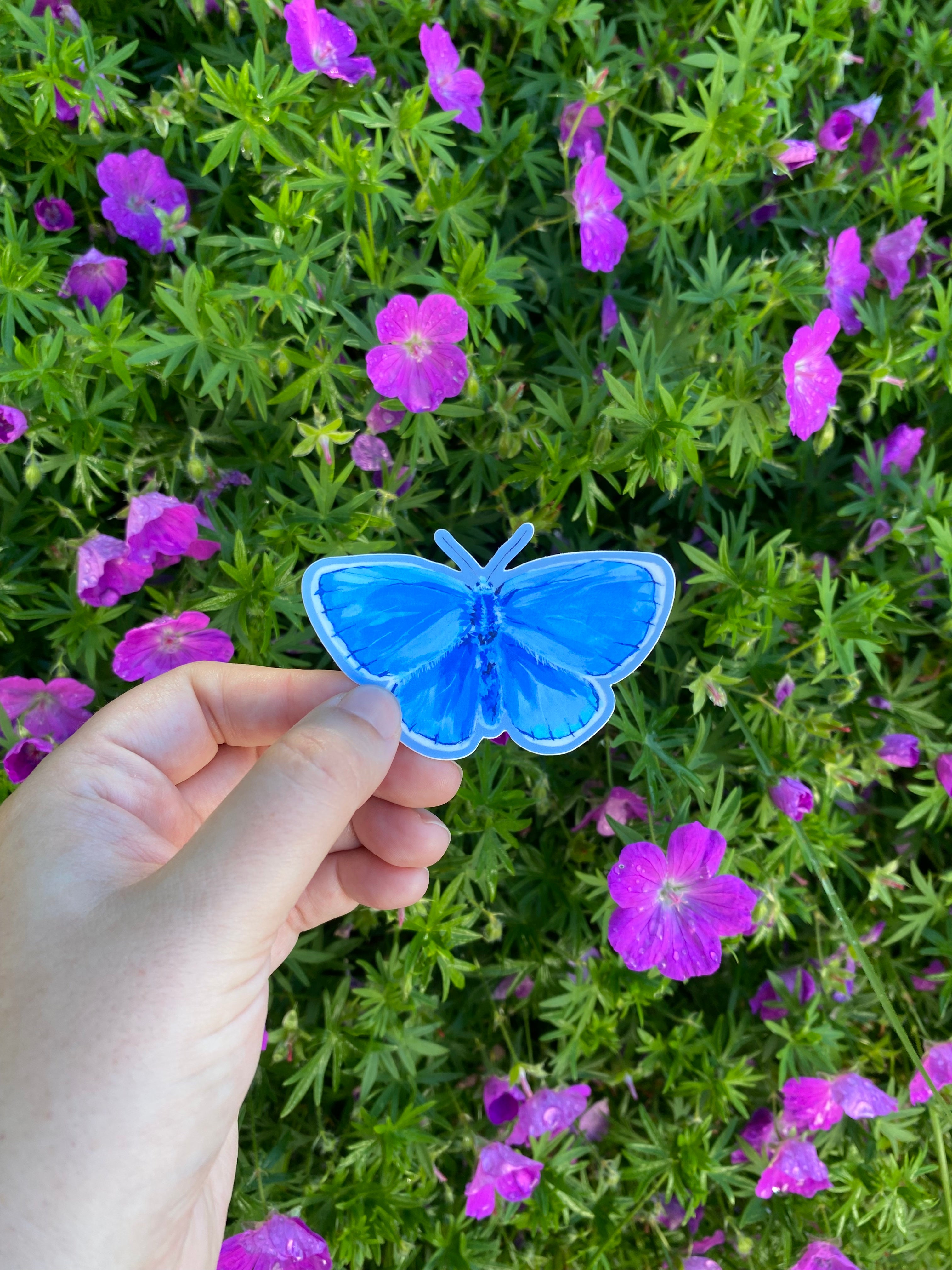 Hand holding a common blue butterfly sticker in front of purple flowers