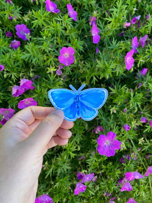 Hand holding a common blue butterfly sticker in front of purple flowers