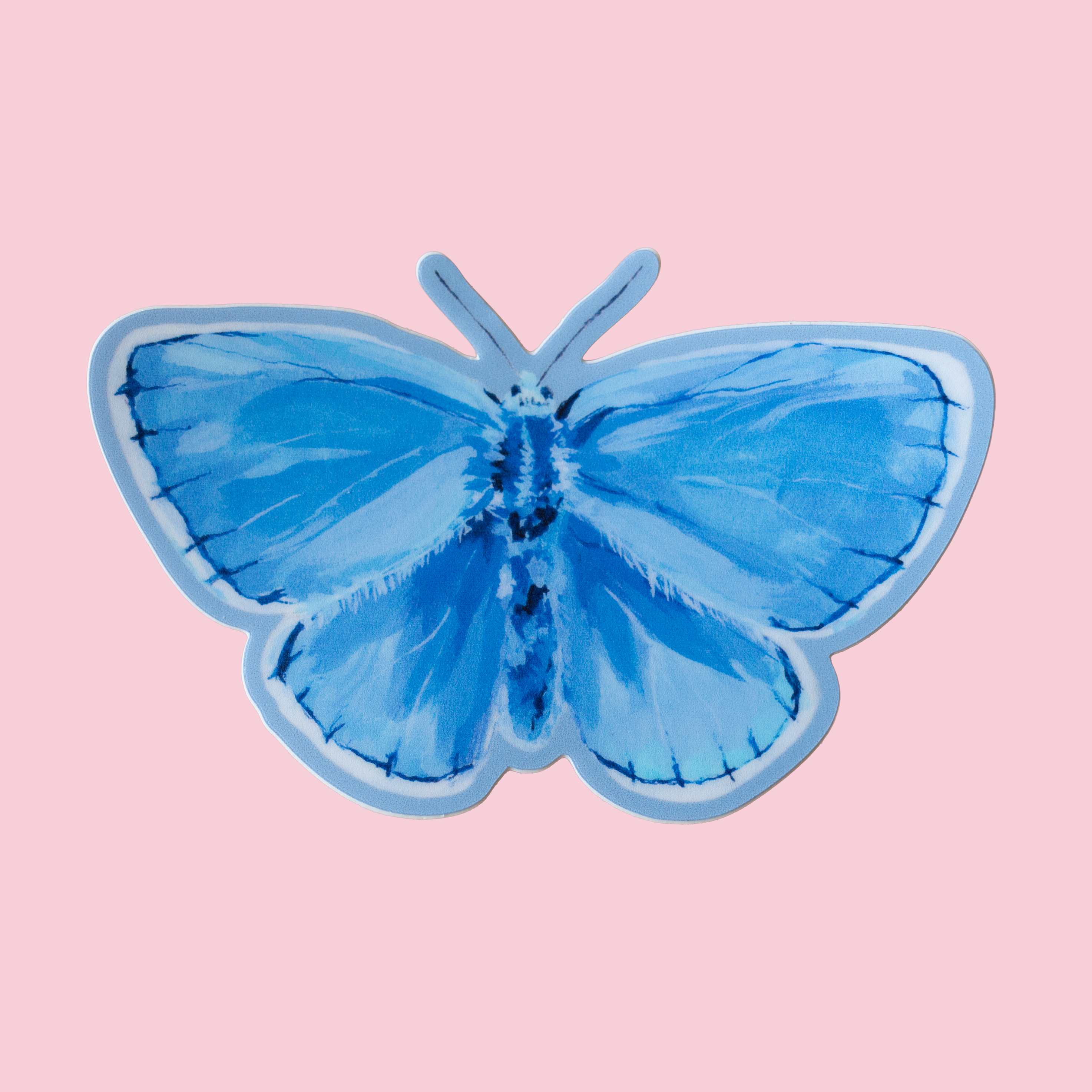Common Blue butterfly sticker on a pink background