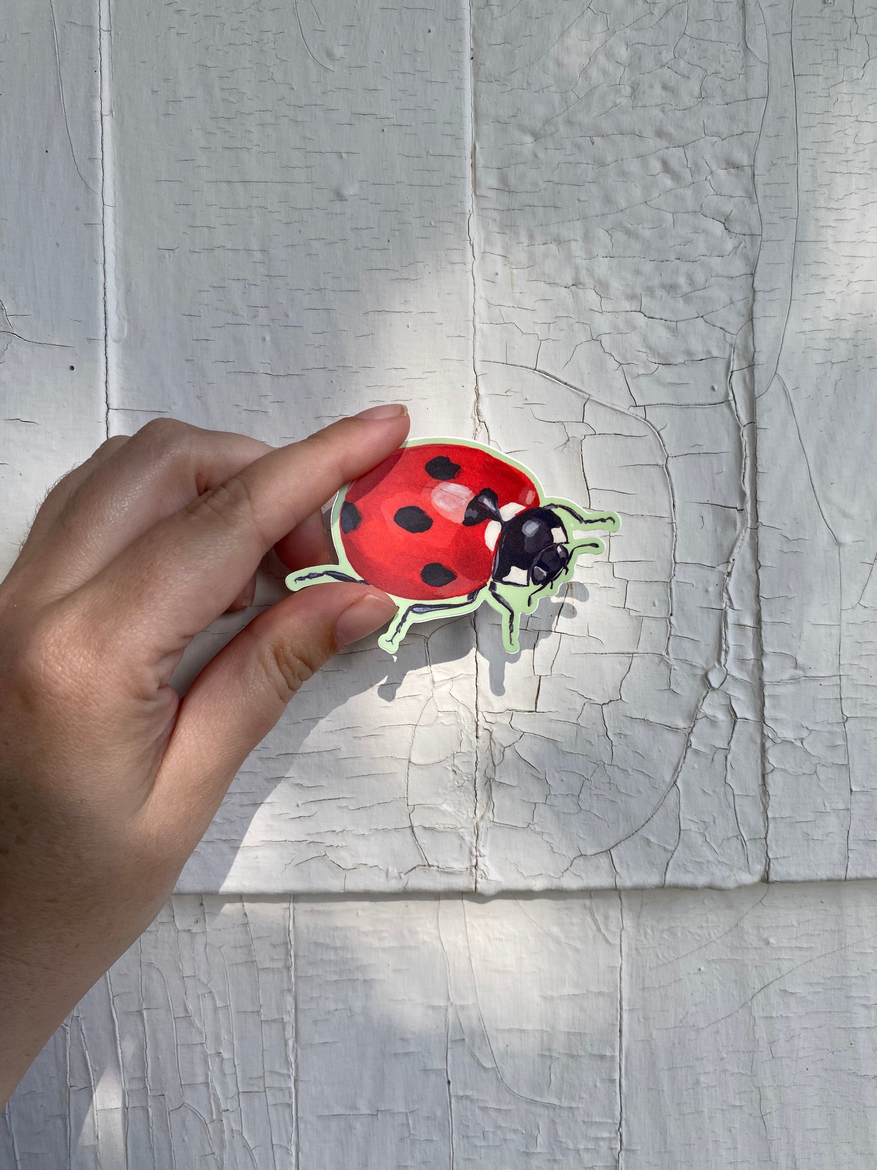 Hand holding a red ladybugs ticker against a sun dappled textured white background.