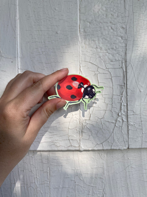 Hand holding a red ladybugs ticker against a sun dappled textured white background.