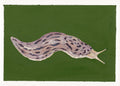 Leopard slug acrylic gouache painting with green background and white border.
