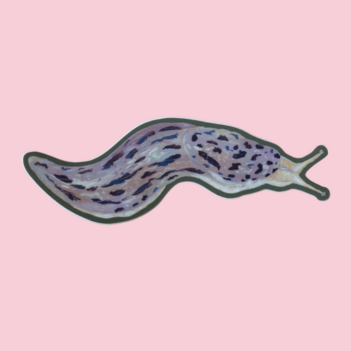 Leopard slug sticker on a pink background.