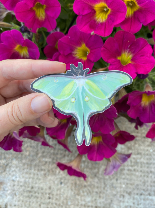Hand holding a luna moth stickerin front of pink flowers