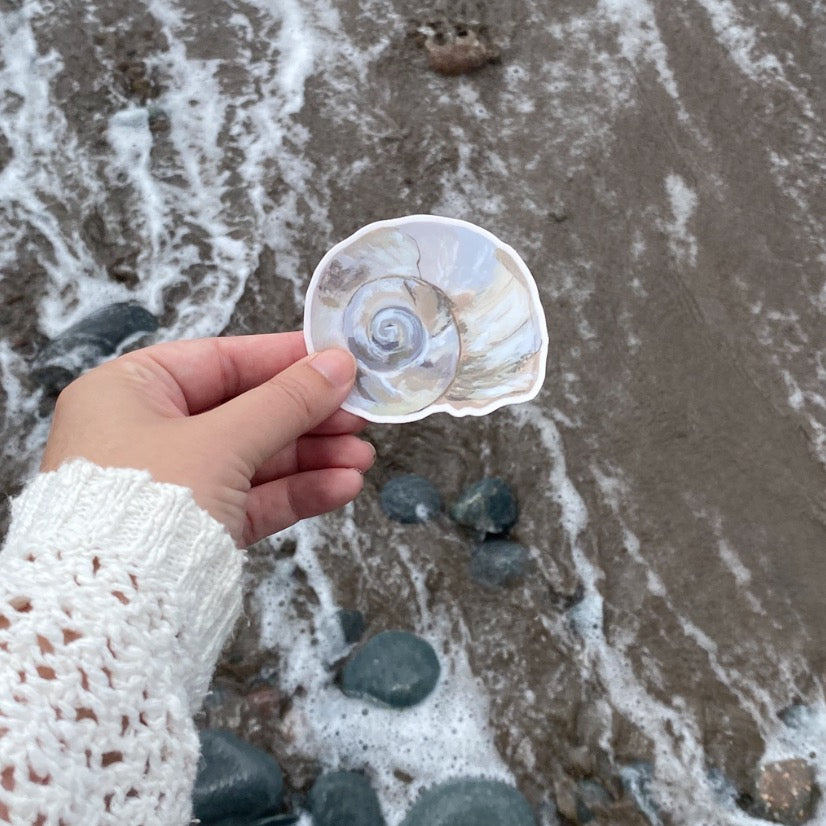 A hand wearing a white knit sleeve holds a moon snail seashell sticker with a spiral pattern against a beach background with wet sand, foam, and rocks.