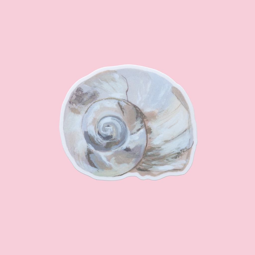 A die-cut sticker depicting a realistic spiral moon snail seashell, shown against a solid pastel pink background.