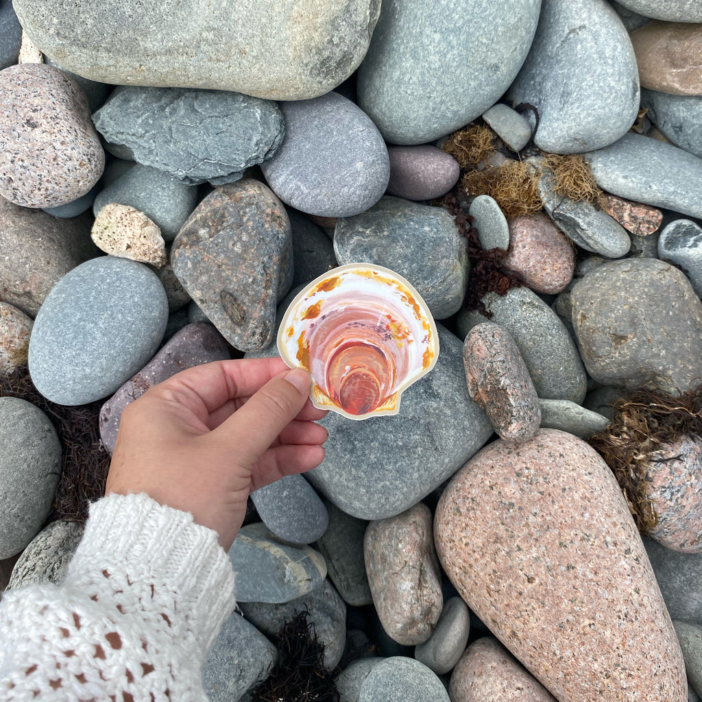 A hand wearing a white knit sweater holds a scallop shell sticker over a background of smooth gray and beige beach stones.
