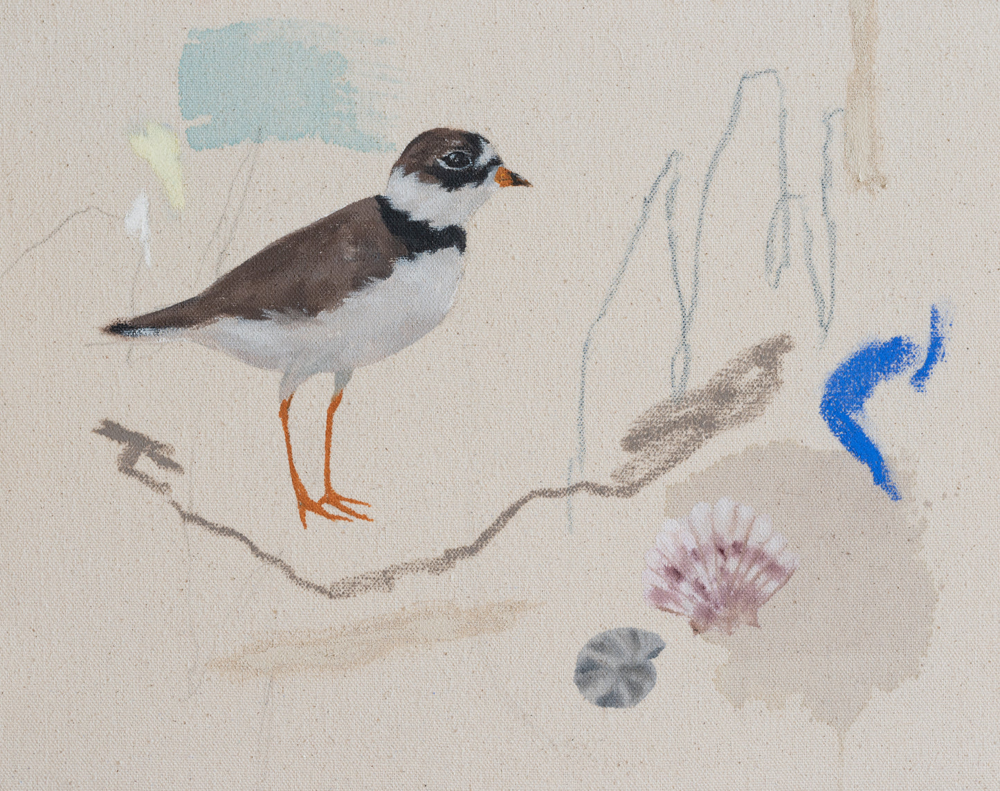 Acrylic painting of a piping plover standing on a soft coastal background of blues and sandy tones by Stevie Sisson.