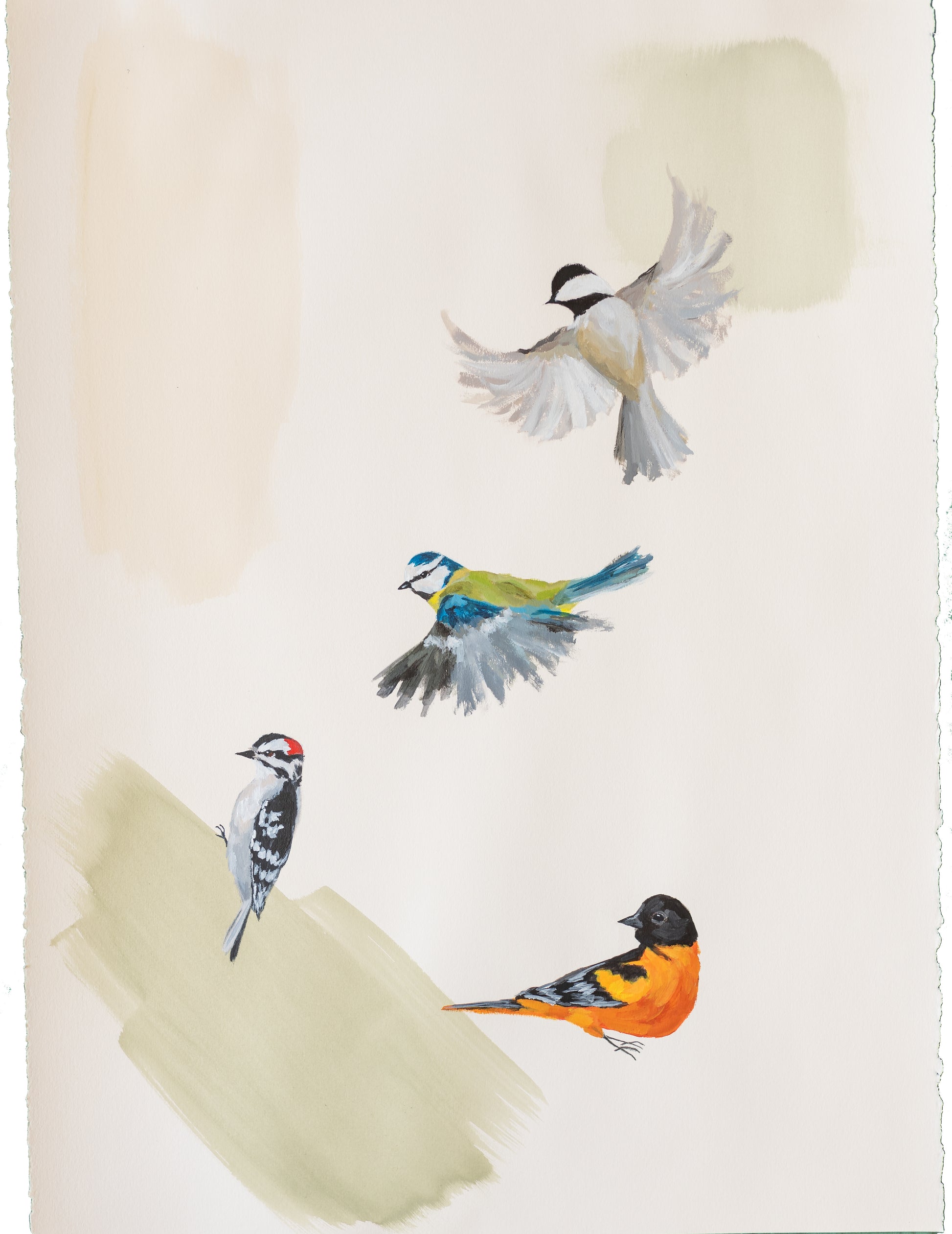 painting of 4 birds