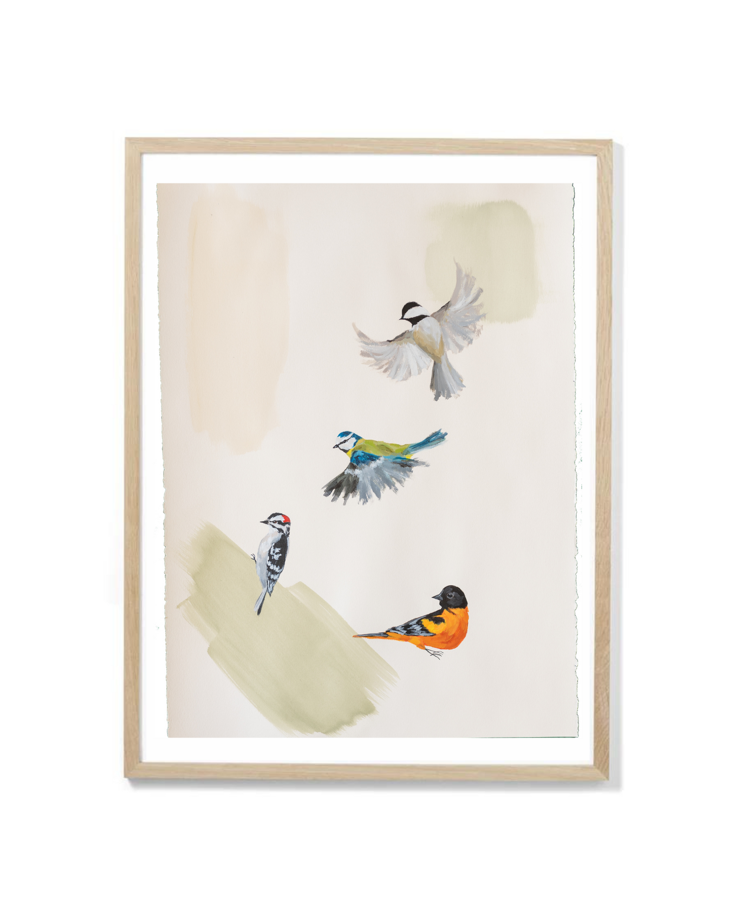 framed painting of 4 birds on white background